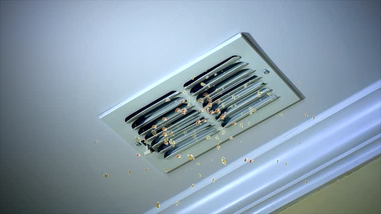Best HVAC Duct Inspection Services  in Mount Union, PA