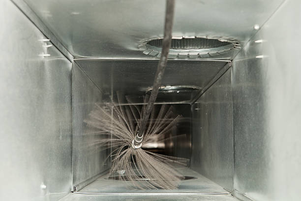 Air Duct Mold Removal in Mount Union, PA